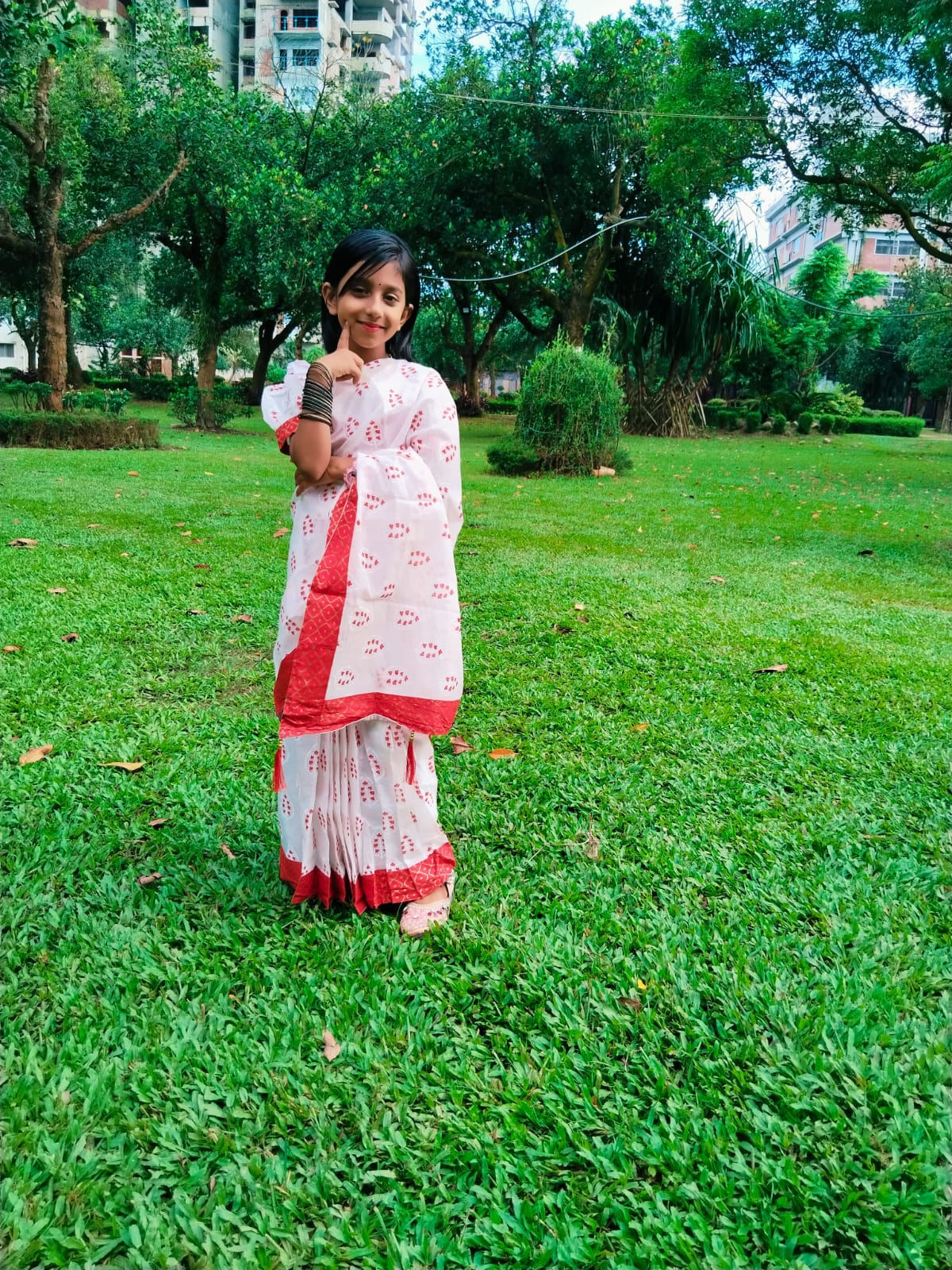 Ready saree